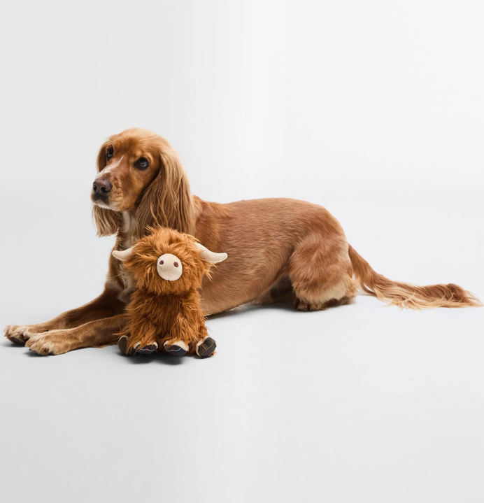 Dog highland cow toy