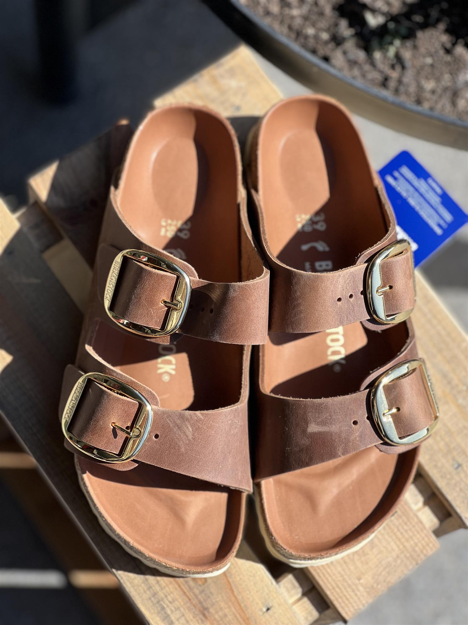 Arizona Big Buckle
