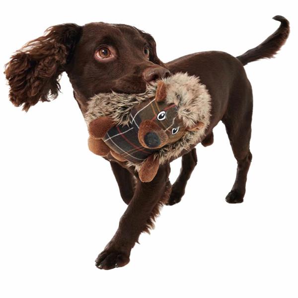 Barbour Dog Hedgehog T