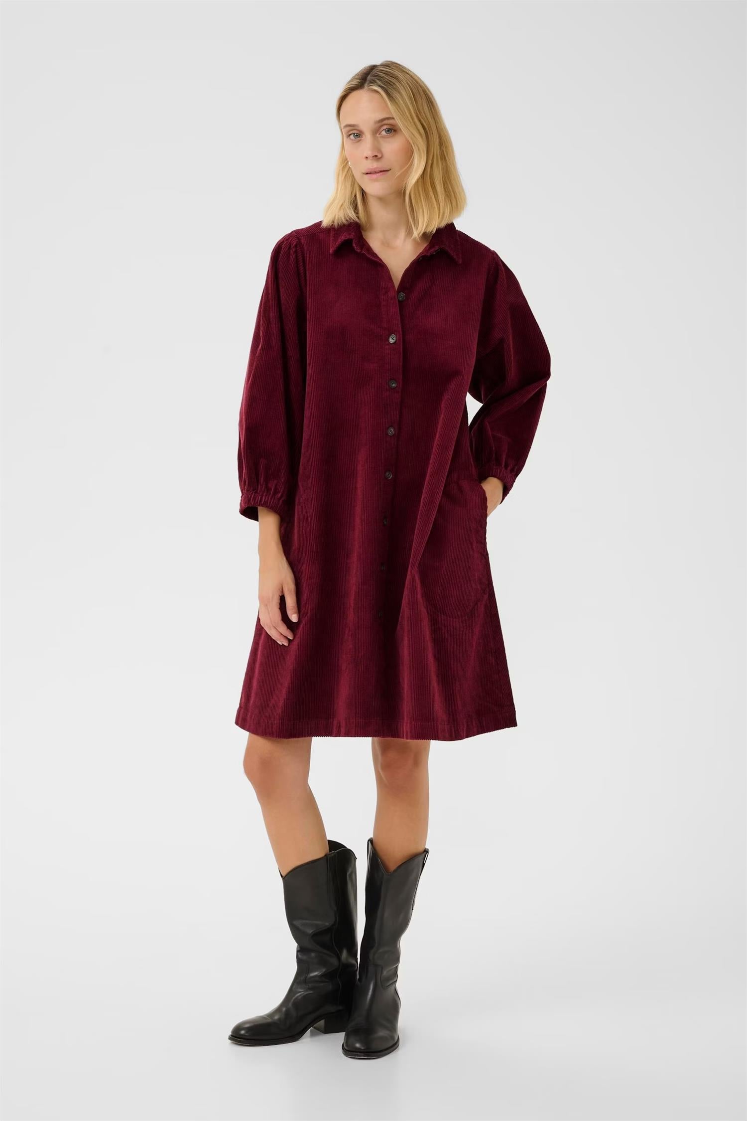 EleinaPW dress