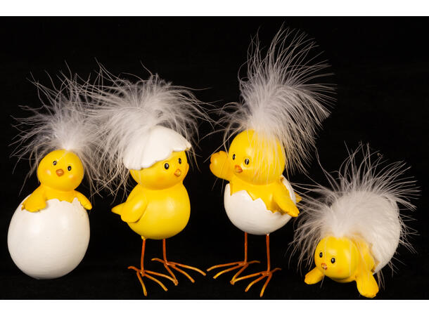 Kylling i egg gul/hvit påske 6x10cm 2ass