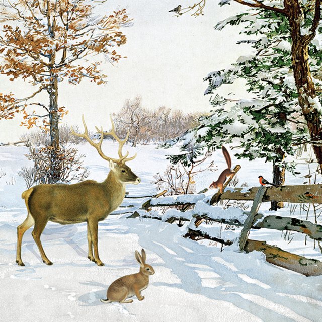 Napkin Lunsj winter evening talk