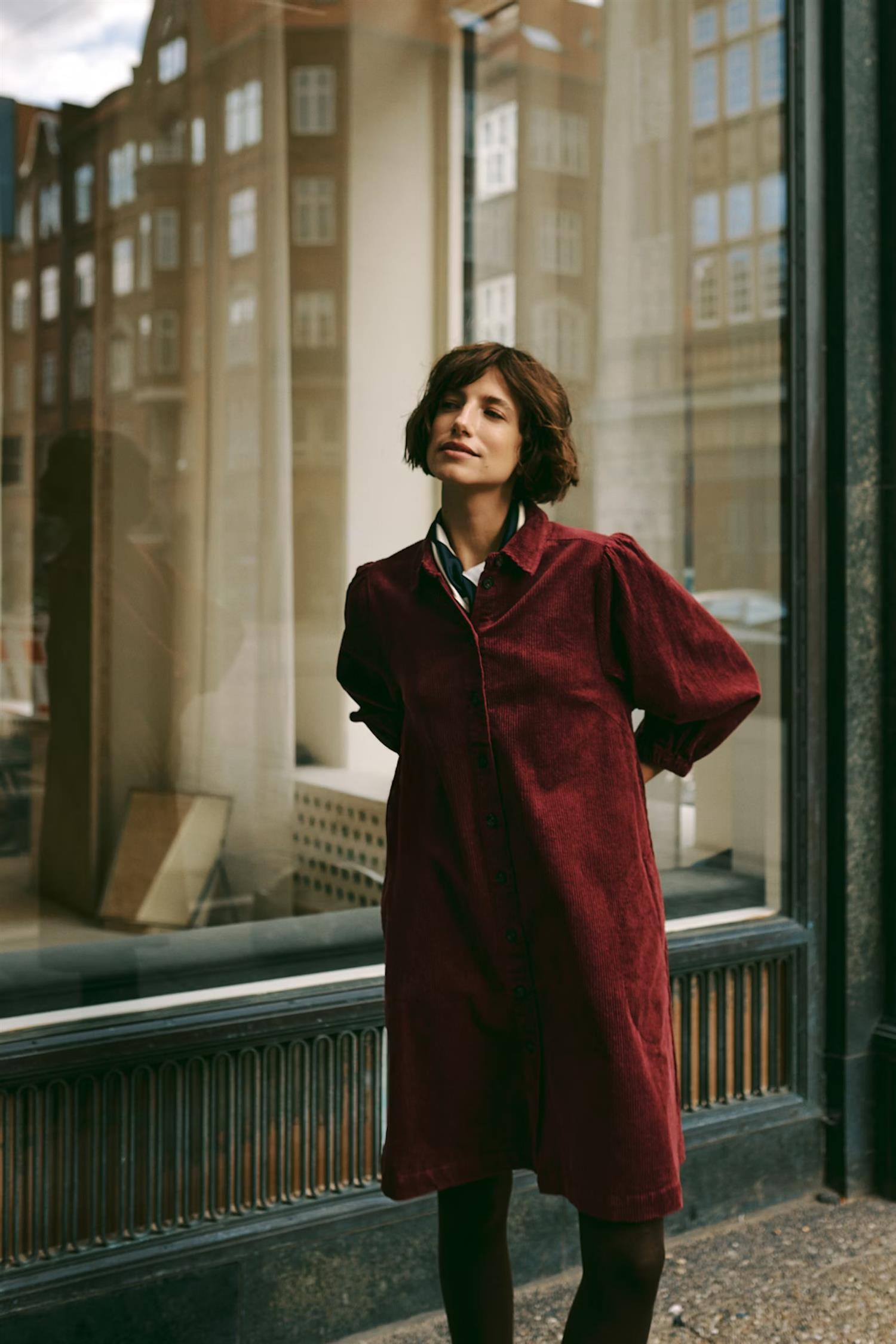 EleinaPW dress