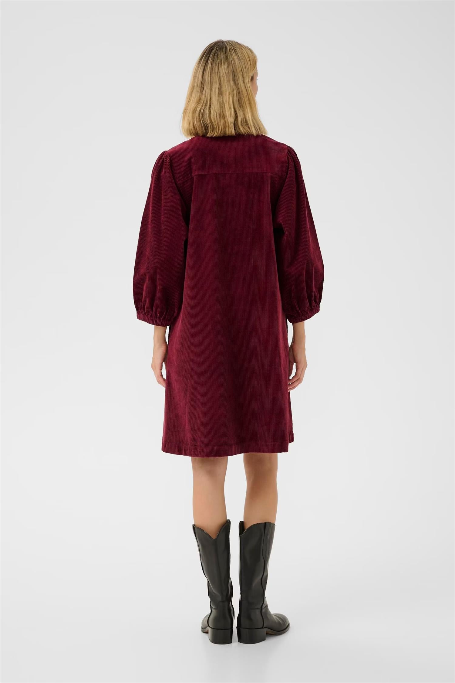 EleinaPW dress