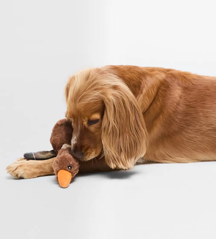 Flying duck dog toy